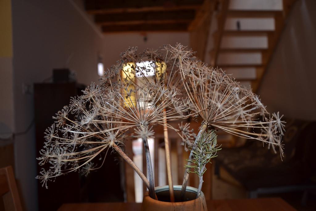 Holiday Farmhouse Skvor Robidisce Exterior foto